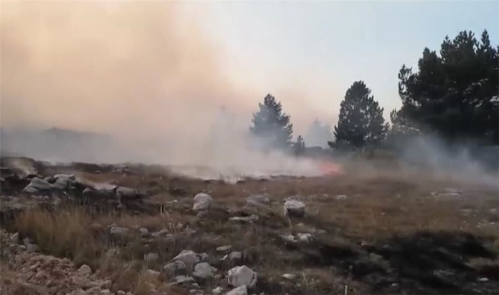 Einheimische und Touristen mussten vor einem heftigen Waldbrand in Kroatien fliehen.