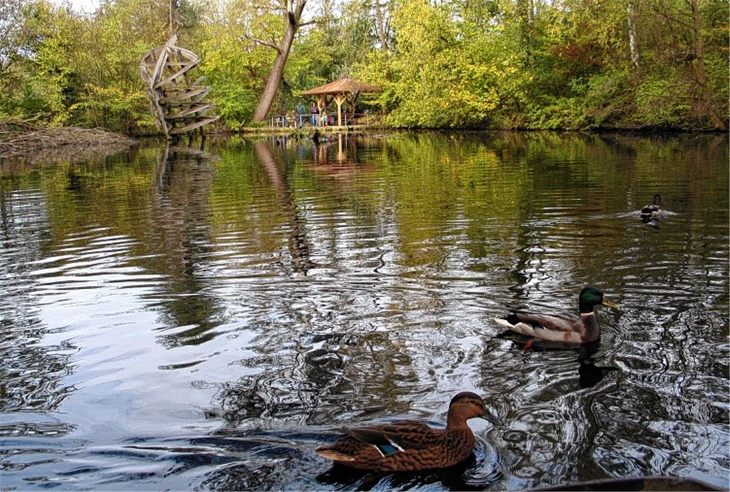 Einige der tierischen Bewohner haben sich zwar vorübergehend ins Winterquartier zurückgezogen, doch lockt der Tierpark Nymphaea – hier Impressionen aus dem Herbst – auch in der kalten Jahreszeit mit Natur pur auf eine Neckarinsel.
