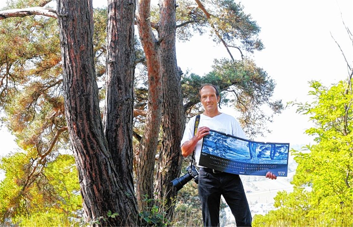 Einmal mehr war Thomas Wilhelm auf Motivsuche, dieses Mal konzentrierte er sich auf Bäume wie hier Kiefern am Kammertenberg.Foto: Kollros