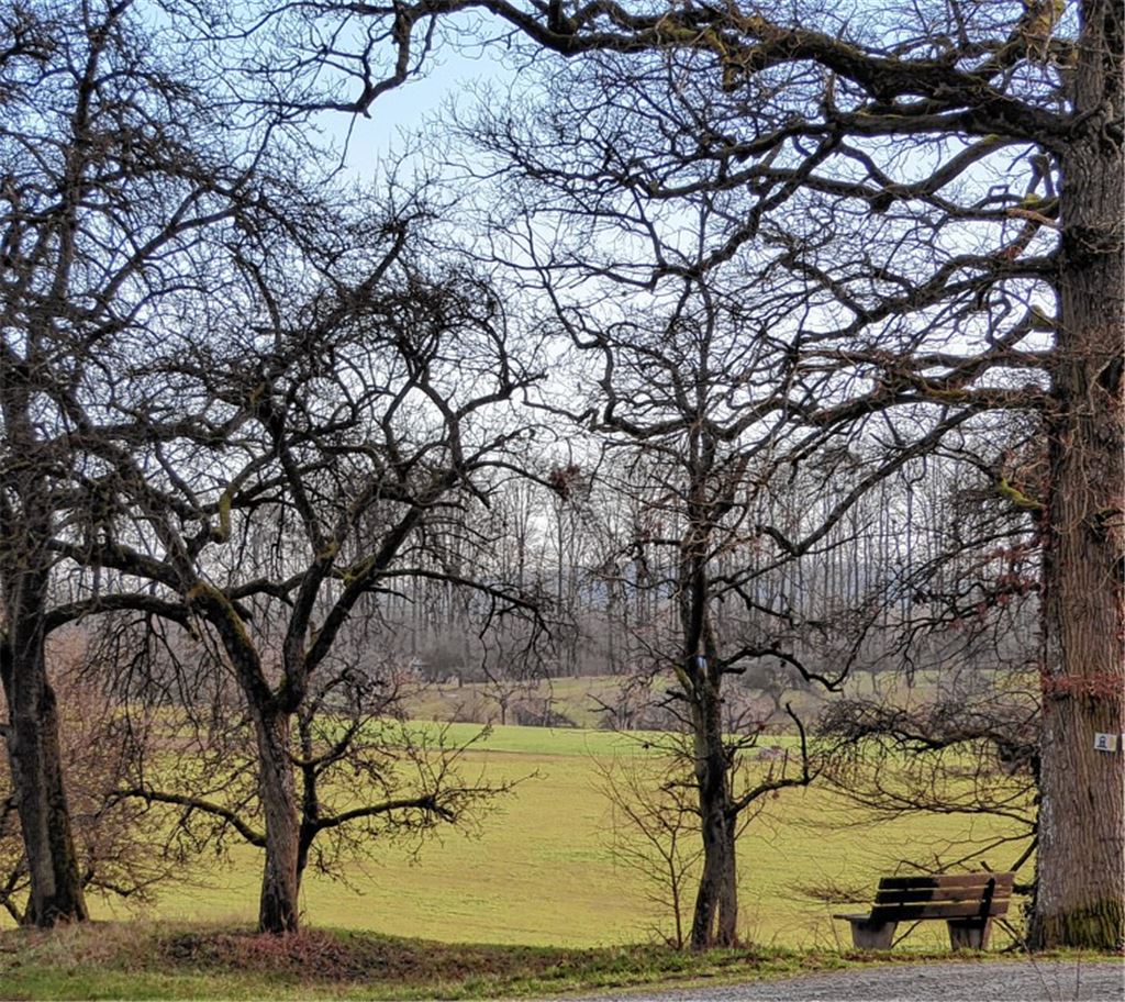 Winterbilder