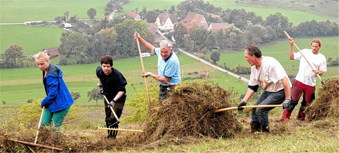 Einsatz am Hofberg: Rund 20 freiwillige Helfer sichern mit ihrem Arbeitseinsatz den Artenreichtum im Naturschutzgebiet hoch über dem Streitenbachtal.