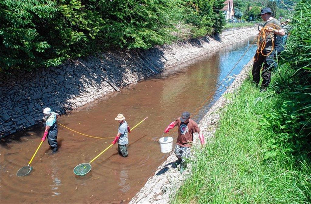 Rettungseinsatz am Kanal liefert Überraschungen