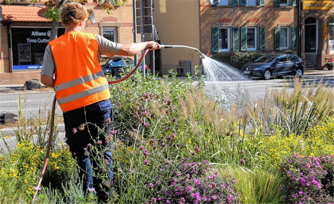 Grünanlagen dürsten nach Landregen