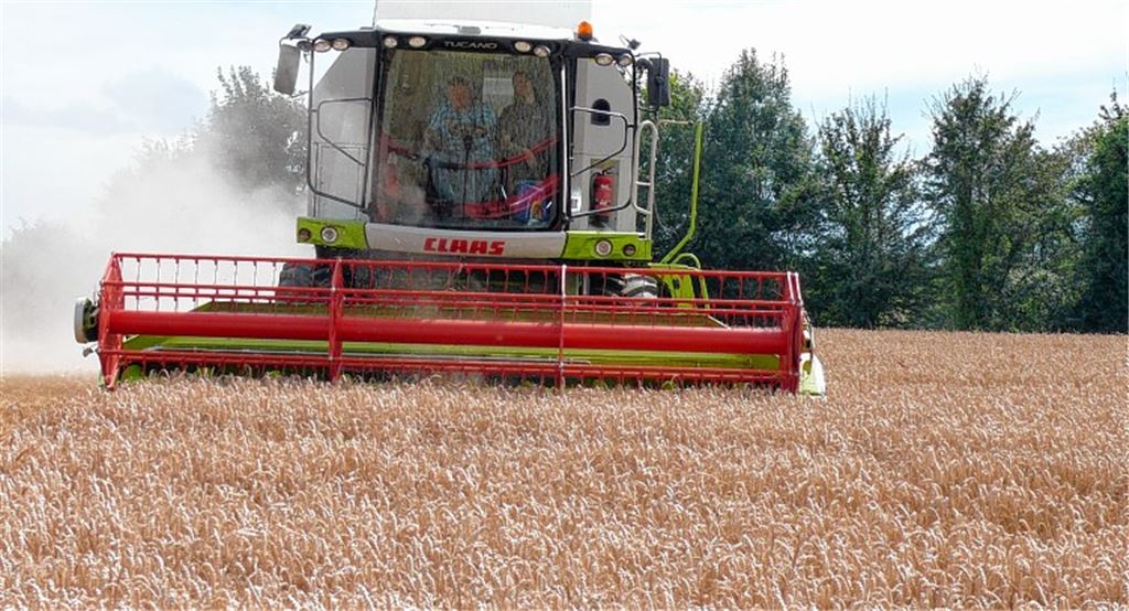 In der Erntezeit steht der Mähdrescher nicht still