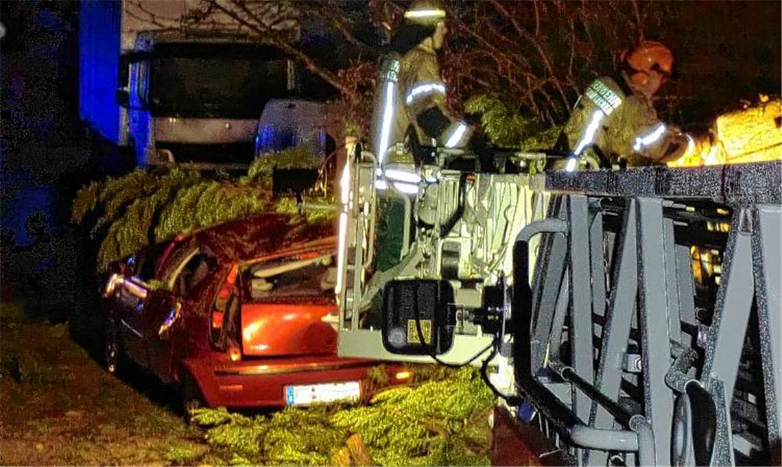 Einsatz in Dürrmenz: Von der Drehleiter aus legen Feuerwehrleute Stück für Stück den Kleinwagen wieder frei, der unter dem Gehölz einer gefällten Tanne begraben liegt.