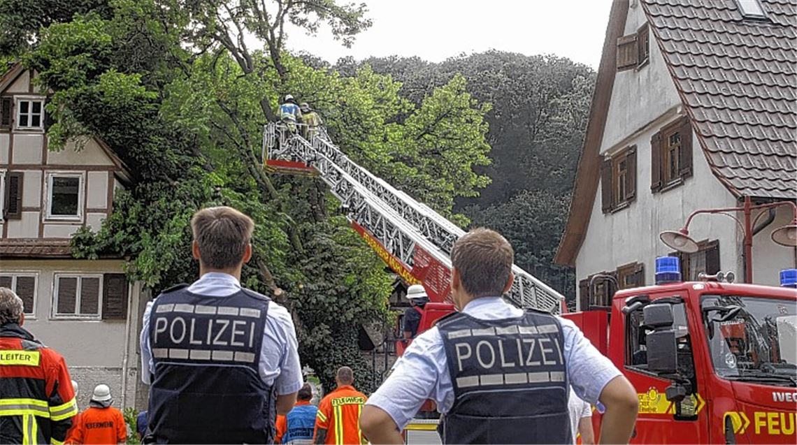 Einsatz in Iptingen: Feuerwehrleute entfernen Äste der umgestürzten Kastanie.
