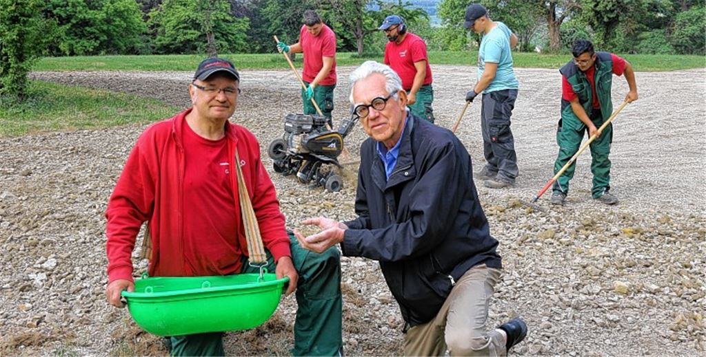Blumenwiese wertet Burganlagen auf