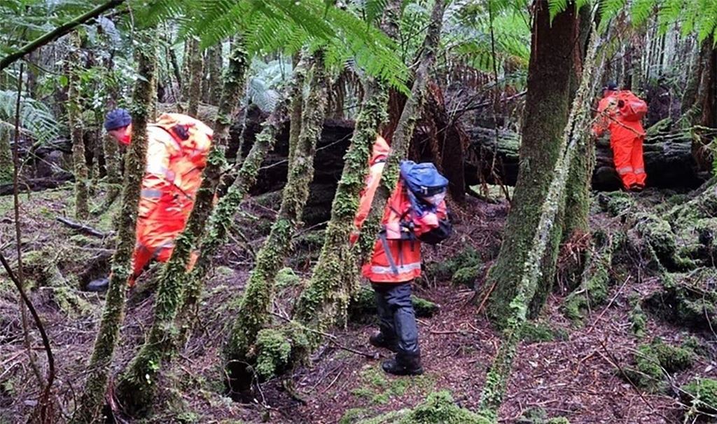 Einsatzkräfte suchten 2023 die dichten Wälder Tasmaniens nach der 31-Jährigen ab. (Archivbild)