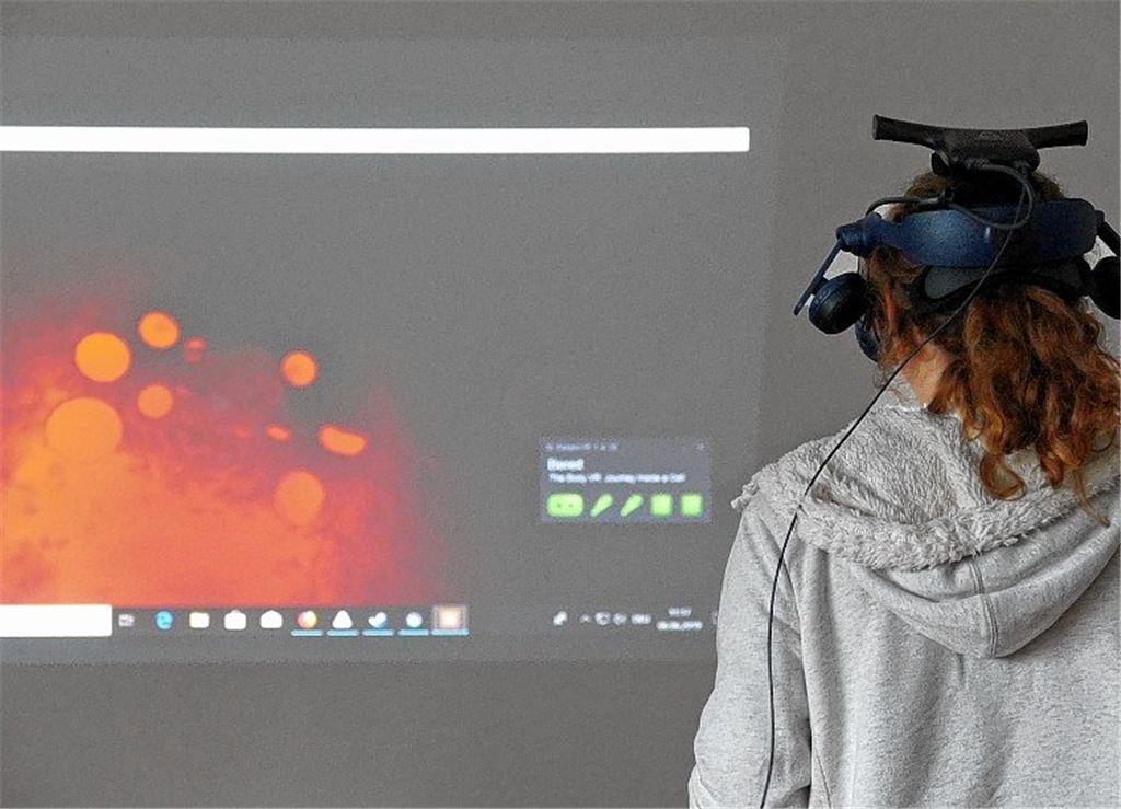 Virtuelle Reise durch den Körper