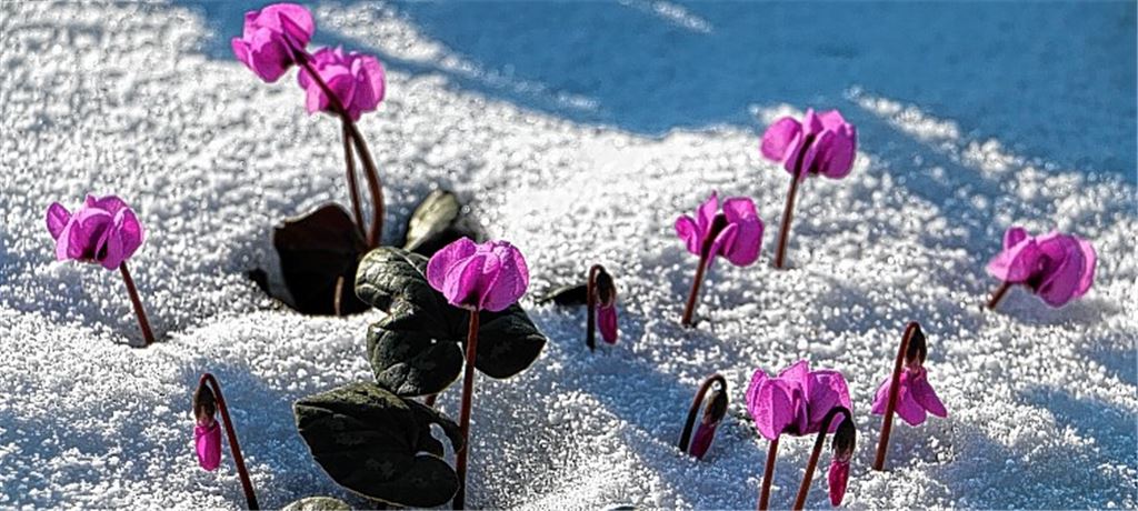 Winterbilder