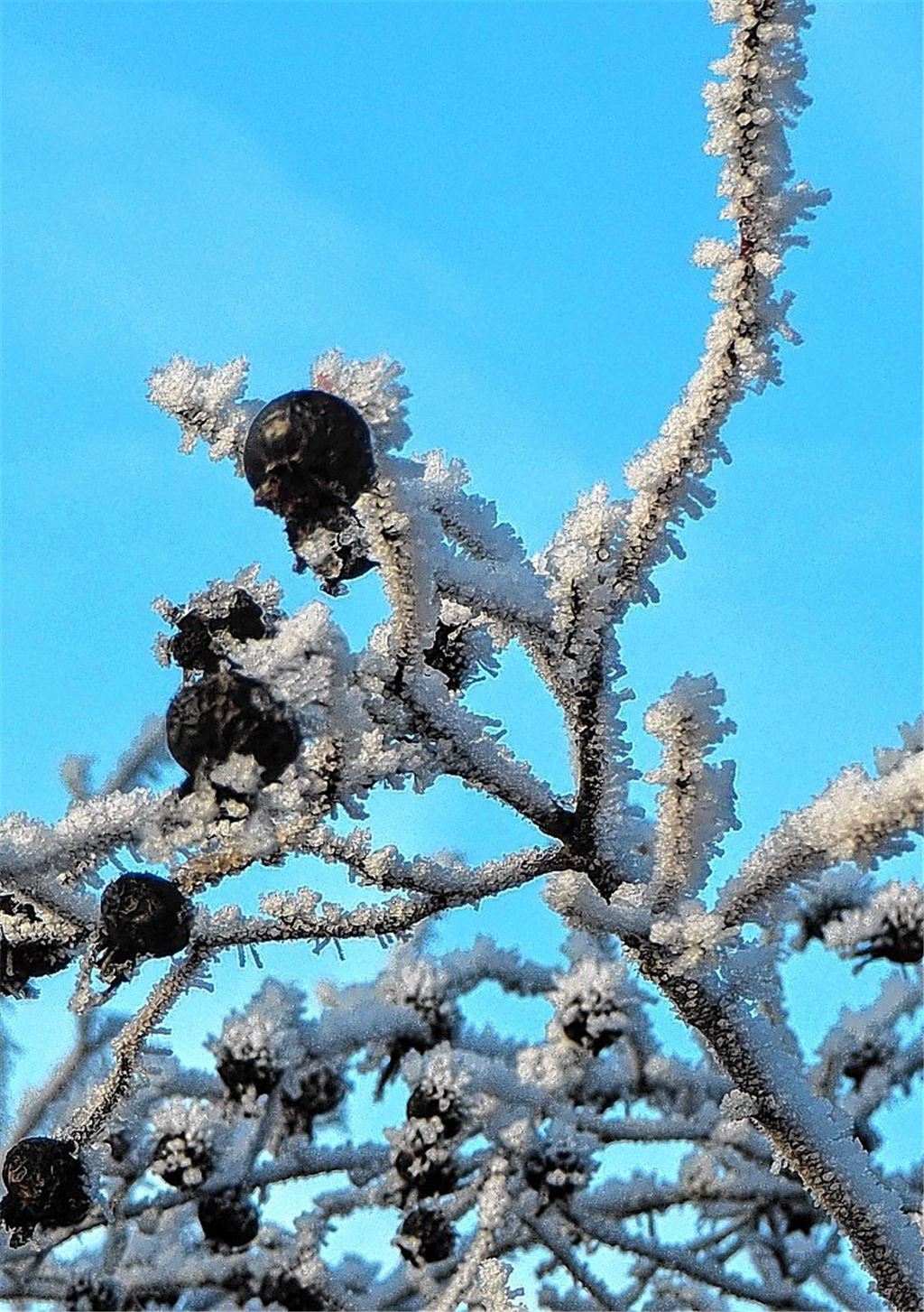 Winterzeit