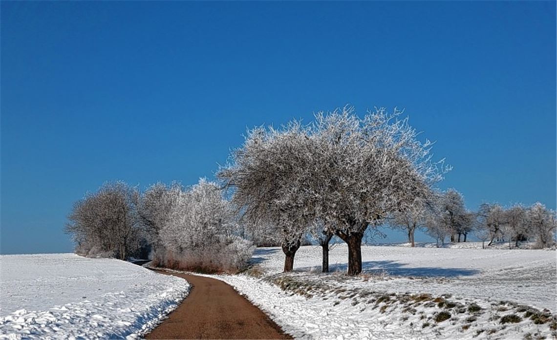 Winterbilder Winterbilder