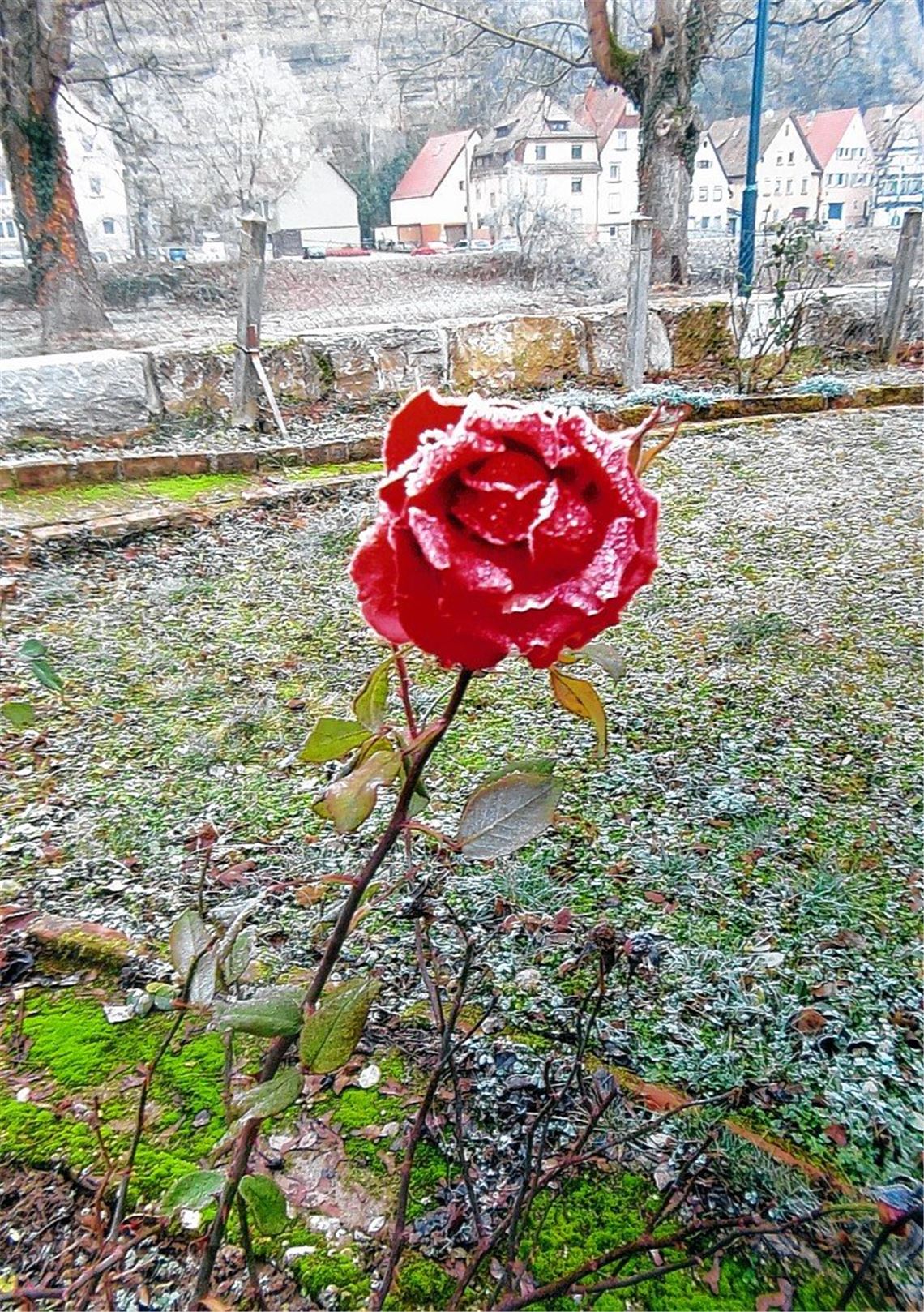 Winterzeit Winterzeit