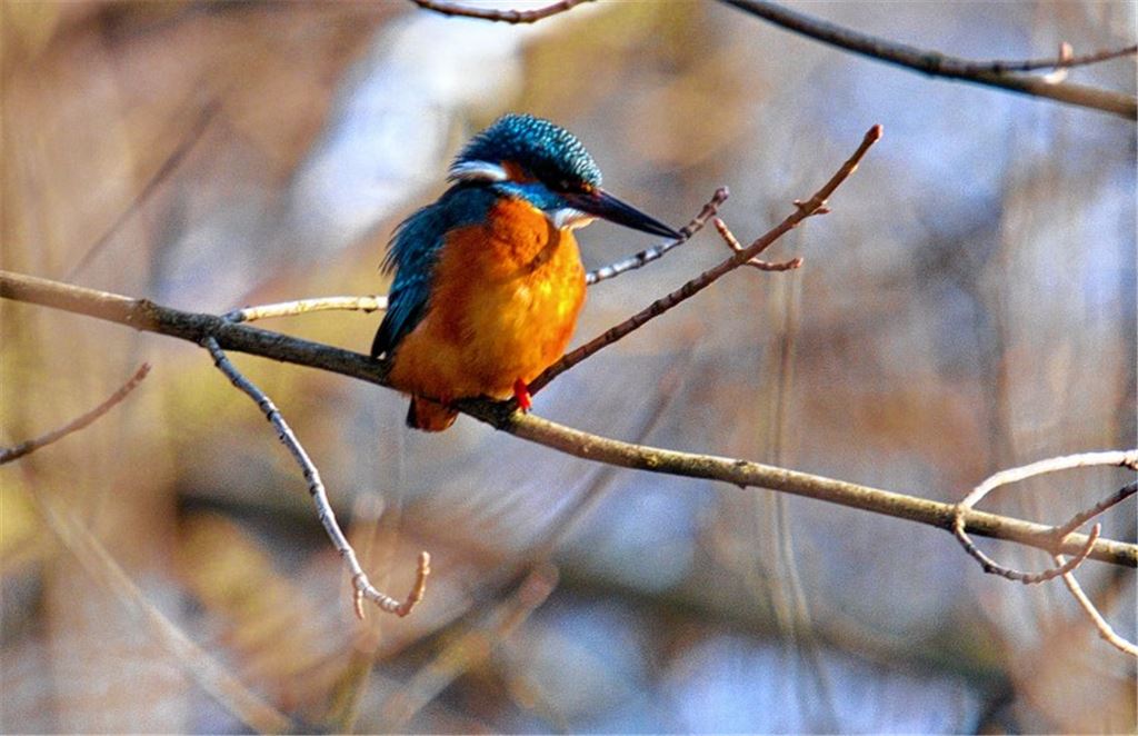 Winterbilder