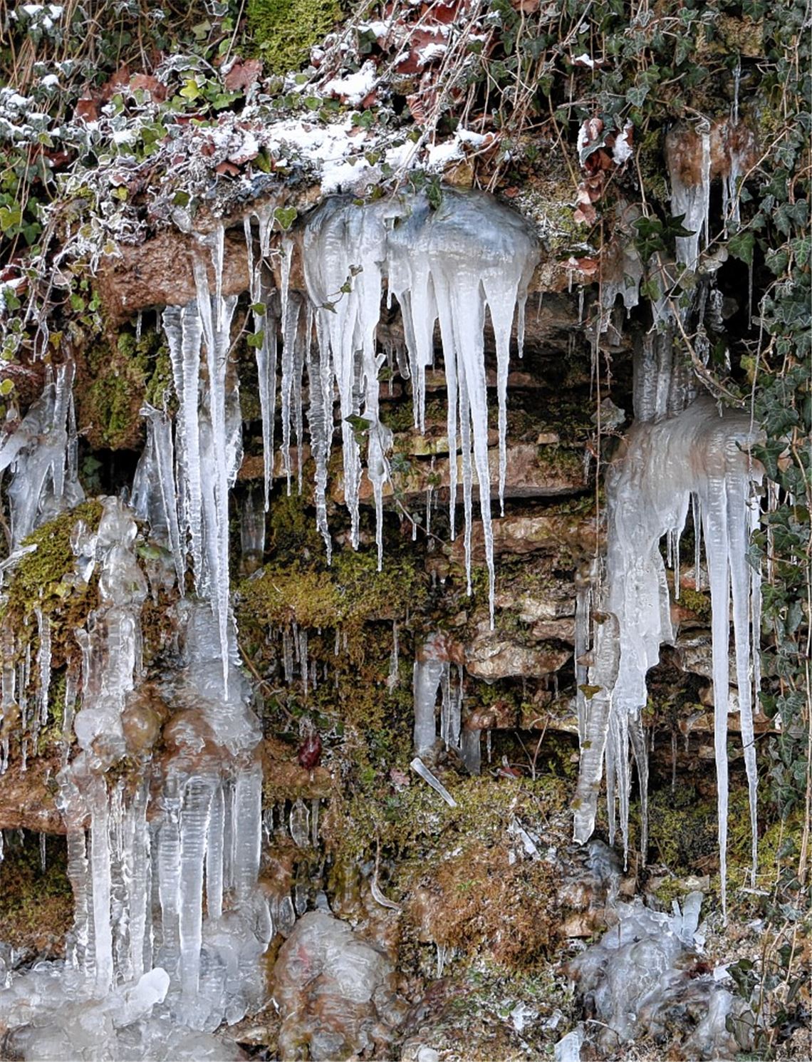 Winterbilder