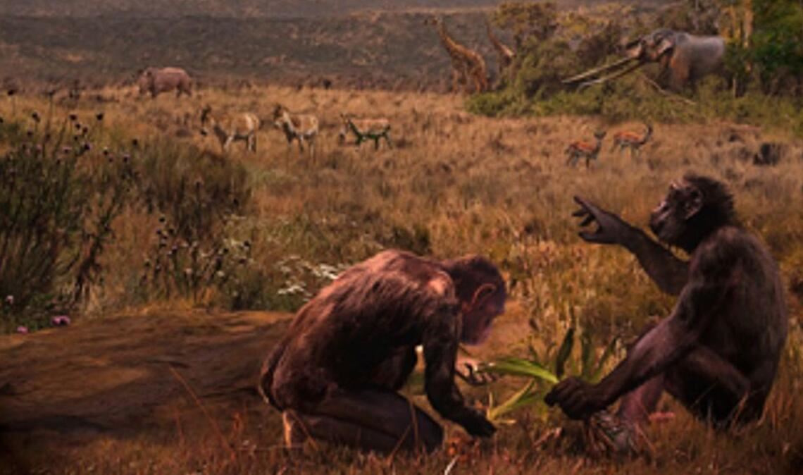 El Graeco (Graecopithecus freybergi) hat vor 7,2 Millionen Jahren in einer staubbelasteten Savannen-Landschaft im Athener Becken gelebt. Der Künstler Velizar Simeonovski hat dieses Gemälde nach wissenschaftlichen Vorgaben von Madelaine Böhme und Nikolai Spassov erstellt (Blick auf die  Fundstelle El Graecos, Pyrgos Vassilissis.