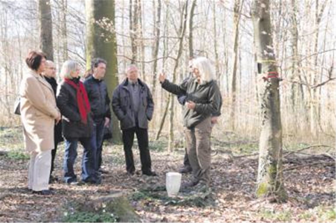 Elisabeth Walch (re.), Försterin im Friedwald Schwaigern, erklärt dem Besuch aus Illingen, darunter Bürgermeister Harald Eiberger (2.v.li.) sowie die Gemeinderäte Ingeborg Beller (3.v.li.) und Peter Pförsich (4.v.li.) am Mustergrab das Konzept und den Alltag in einem Friedwald.
Foto: Goertz