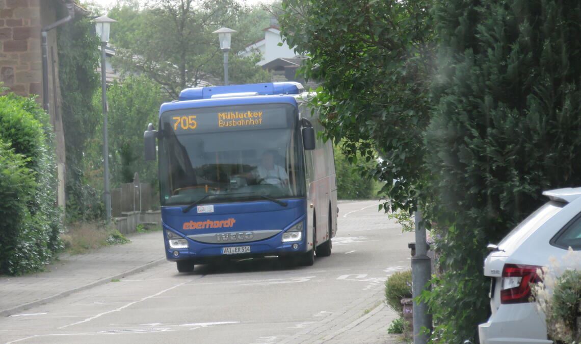 Eltern sollen Probleme beim Schulbusverkehr zum Schulstart melden, teilt der Landrat des Enzkreises mit. Symbolfoto: Archiv