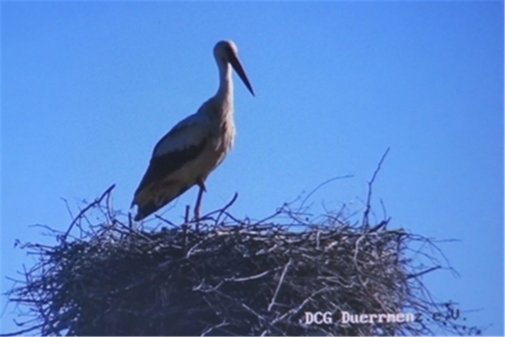 Elternstorch am Mittwochmorgen. Foto: Becker
