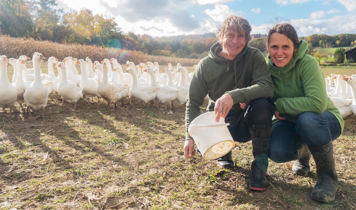 Geflügelhalter will wachsam bleiben Emotional verbunden: Sina und Thomas Aichele fühlen sich inmitten ihrer großen Gänseschar sichtlich wohl. Foto: Fotomoment