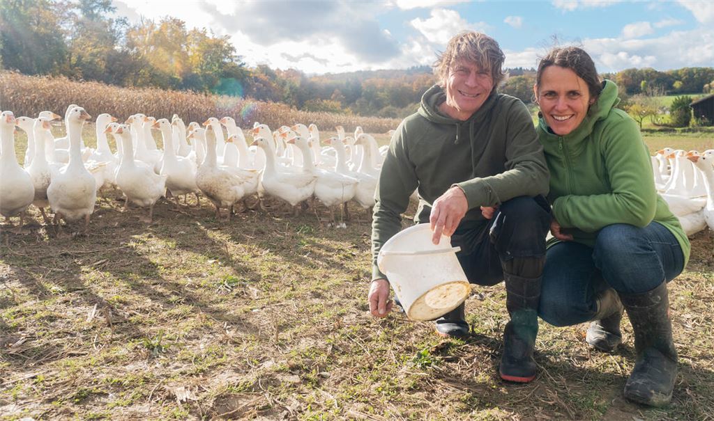 Emotional verbunden: Sina und Thomas Aichele fühlen sich inmitten ihrer großen Gänseschar sichtlich wohl. Foto: Fotomoment