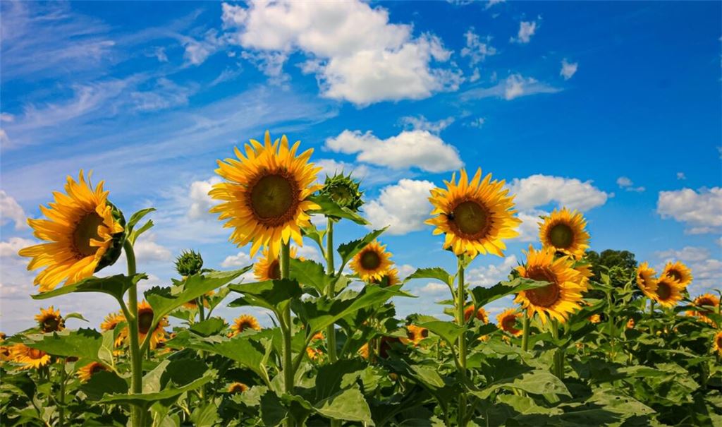Endlich Besserung! Erfahren Sie, wann sich das Wetter in Deutschland wieder verbessert und welche Temperaturen erwartet werden.