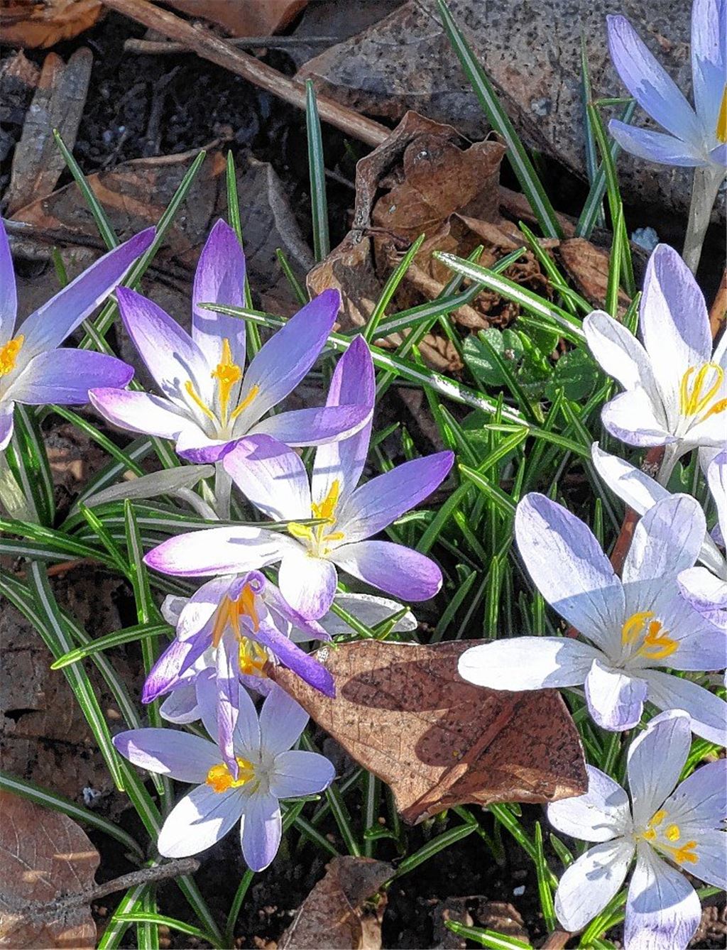 Frühlingsgefühle