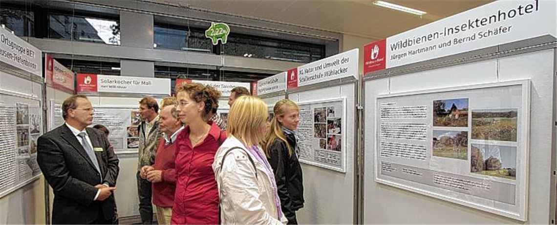 Engagement für Natur und Umwelt: Eine Ausstellung in der Kundenhalle der Sparkasse in Mühlacker informiert über die ausgezeichneten Projekte. 