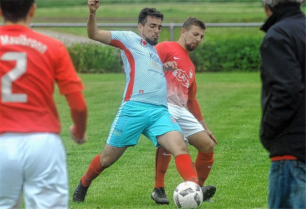 Zehn Tore in den Enzauen