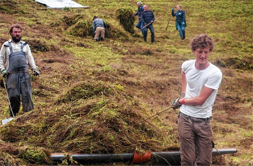 Albverein leistet harte Arbeit für die Natur