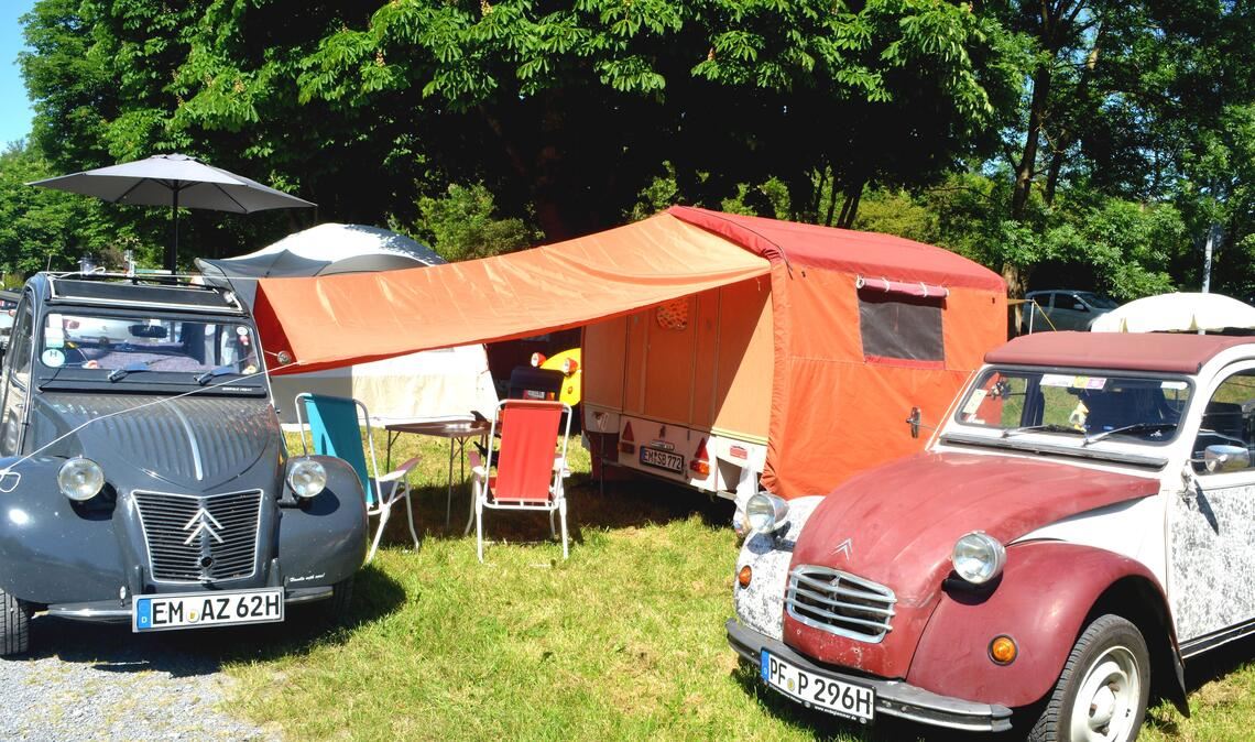 Enten an der Enz: Rund 120 Autos stehen über Pfingsten auf dem Festplatz. Fotos: Stahlfeld