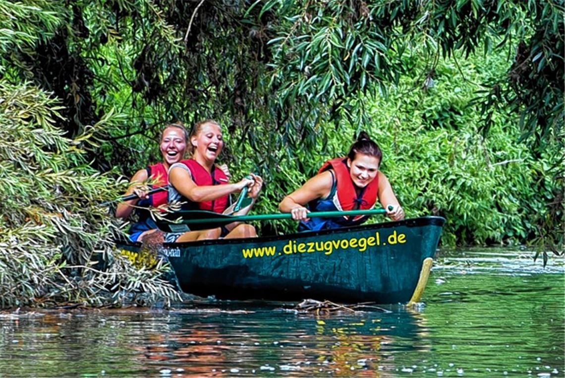 Großer Auftritt für fleißige Hennen