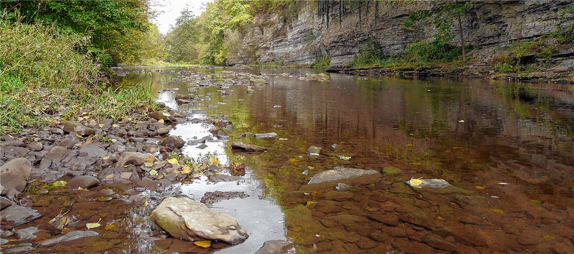 Enz zwischen Niefern und Enzberg