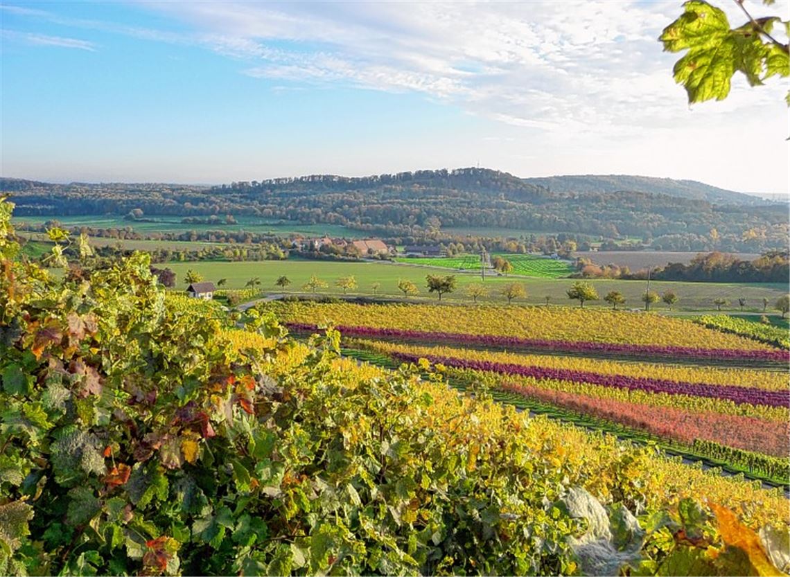 Leserfotos schmücken Kalender