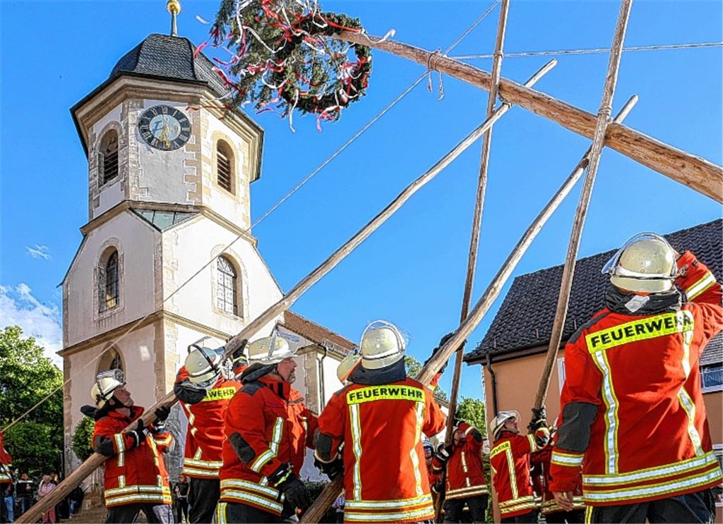 Starke Männer hieven Maibäume in die Höhe