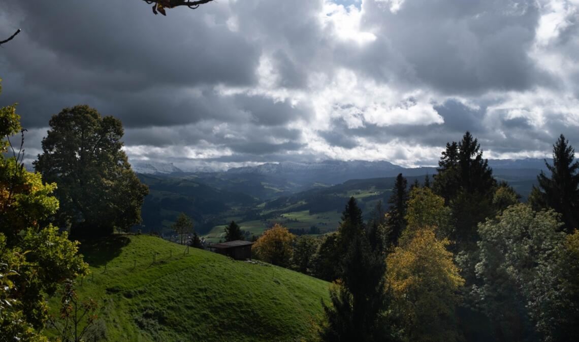 Erfahren Sie alles über den bevorstehenden Wetterumschwung in Deutschland: Frost, dichter Nebel und stürmische Böen. Bleiben Sie informiert.