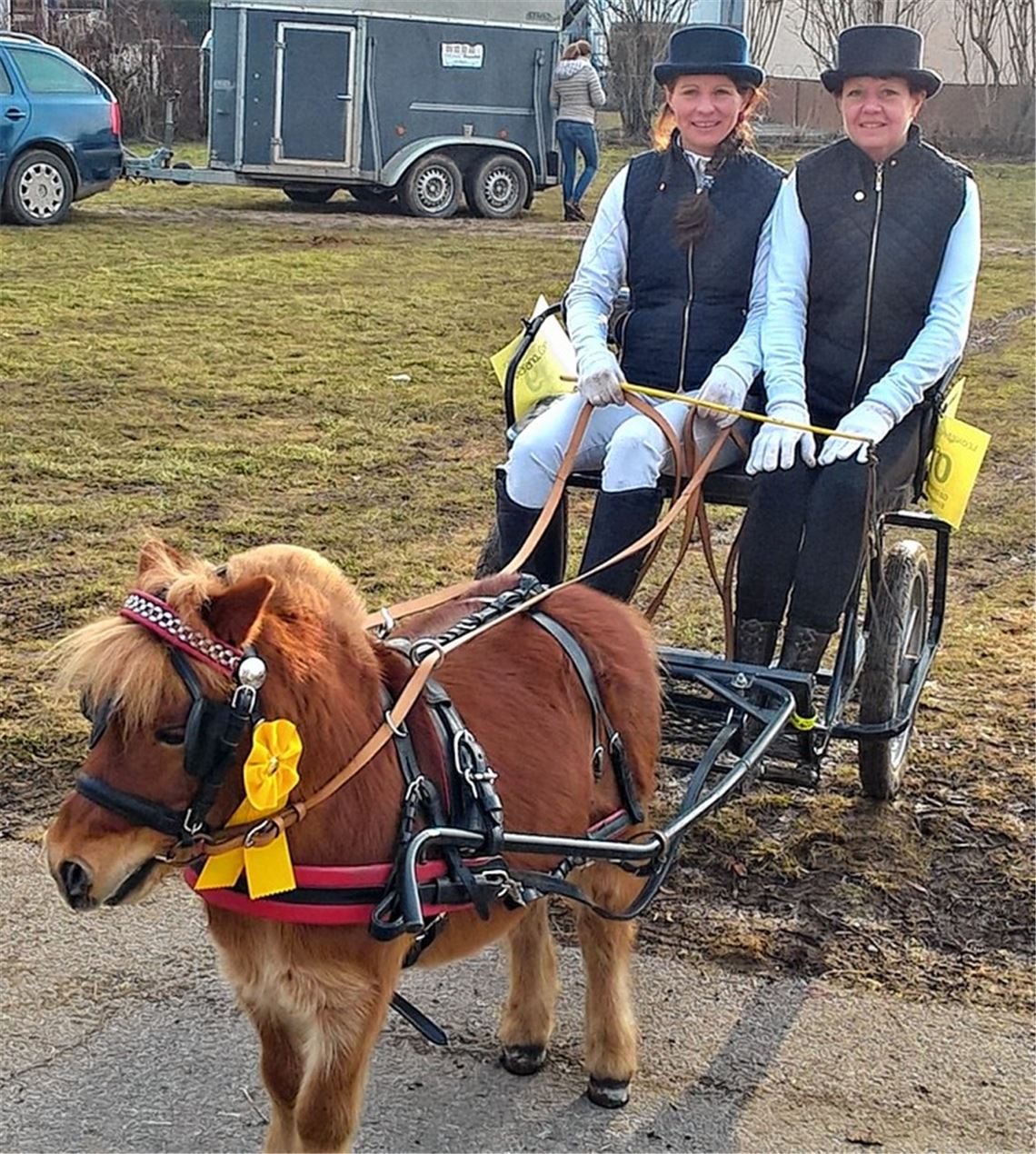 Minipony aus Mühlacker wird zum Publikumsliebling