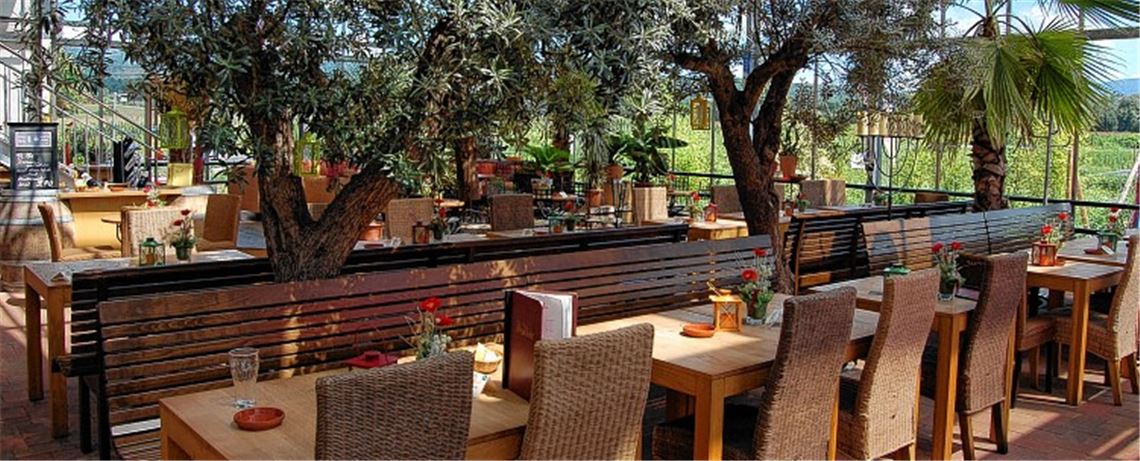 Erfolgsrezept: Bei Vinolivio genießen die Gäste im gläsernen Restaurant unter Olivenbäumen und Palmen südländische, aber auch regionale Spezialitäten.Foto/Animation: privat