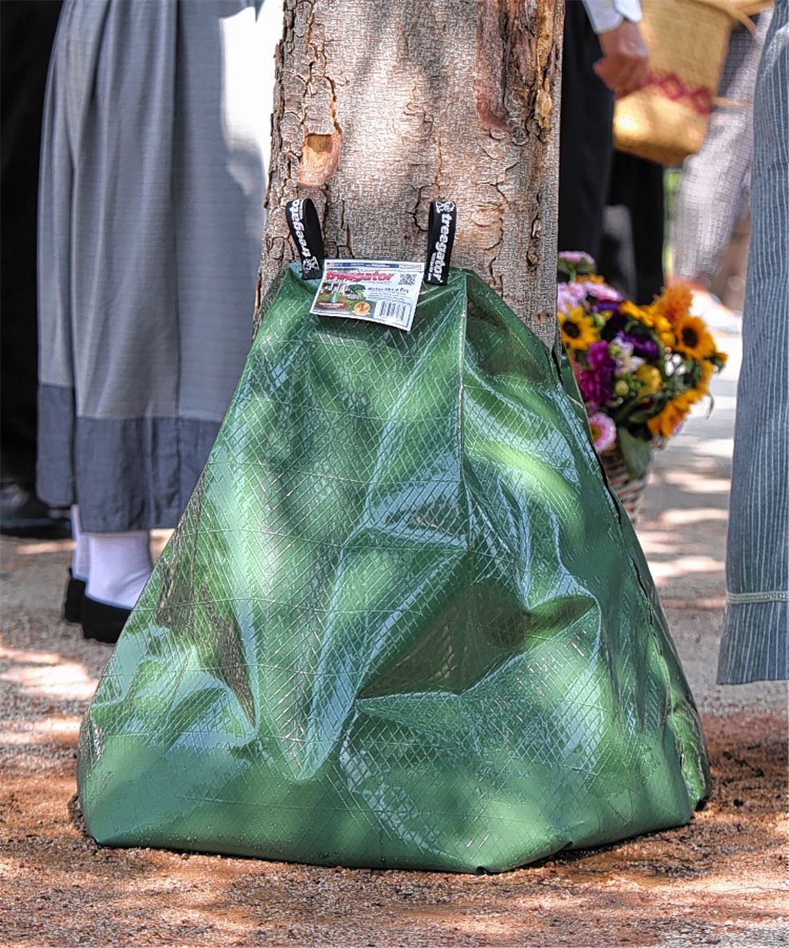 Erfrischung für Bäume. Foto: Deeg