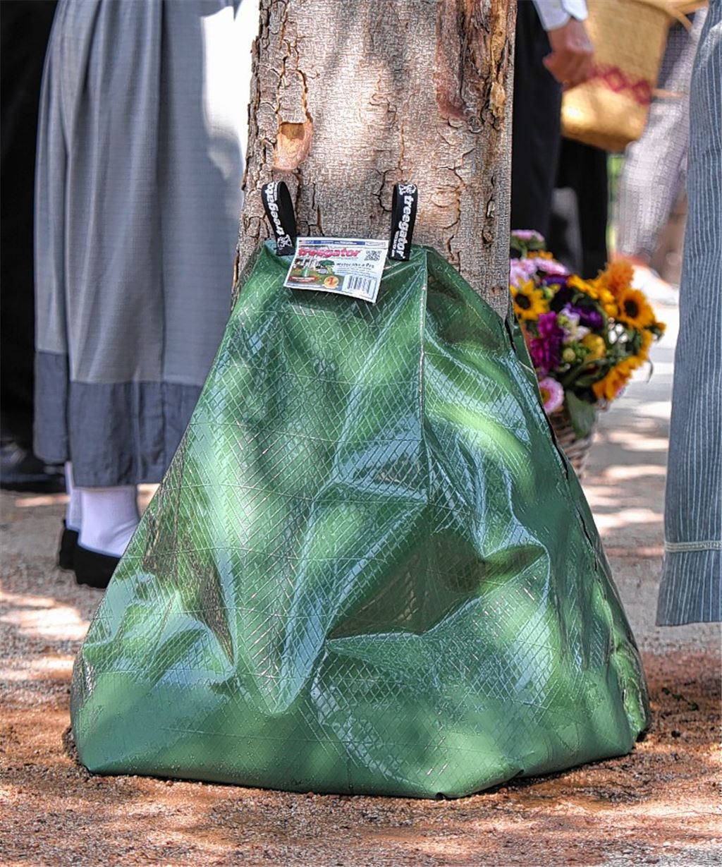 Erfrischung für Bäume. Foto: Deeg