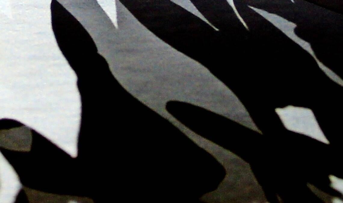 Erkennbare Schattenseiten beim Frauenturnen in Stuttgart.