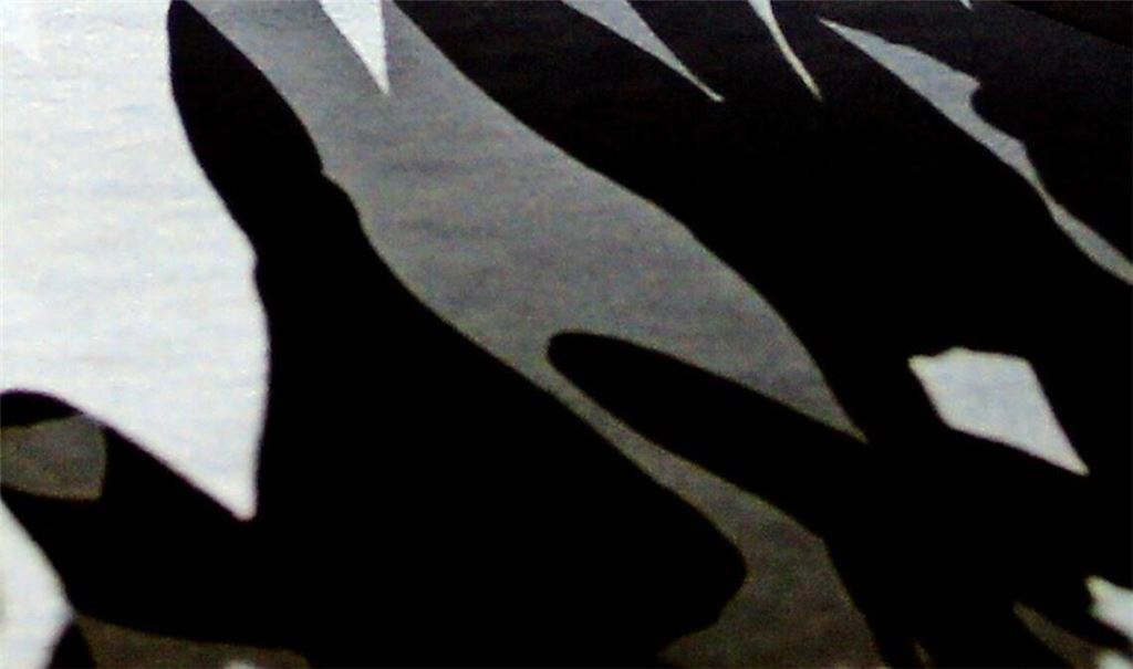 Erkennbare Schattenseiten beim Frauenturnen in Stuttgart.