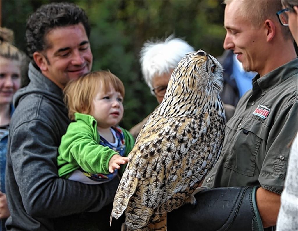 Beitrag zur Naturentfremdung