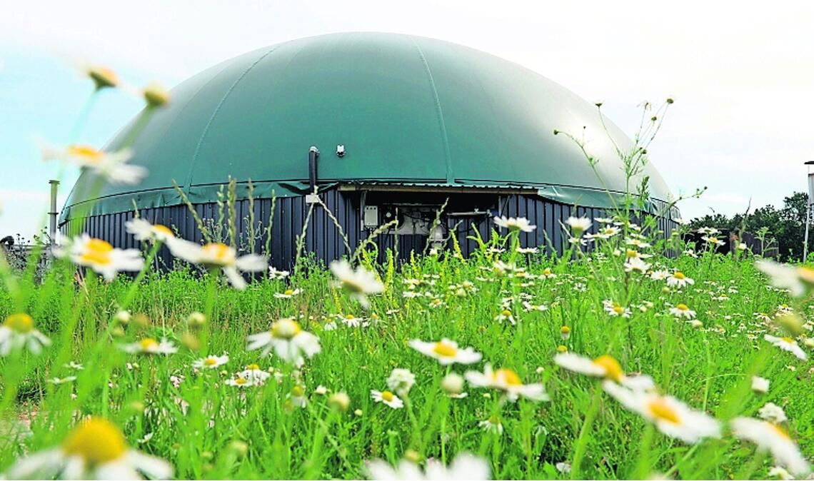 Erneuerbare Energien sollen ohne Zwang gefördert werden: Biogasanlage in Norddeutschland (Symbolbild).