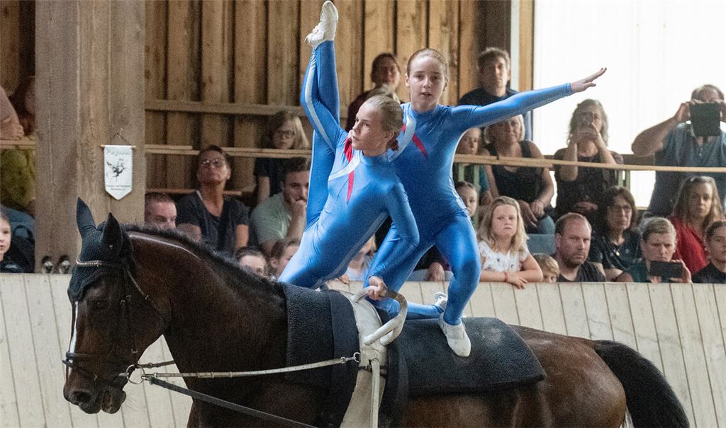 Erstmals starten die Nachwuchssportlerinnen der A-Gruppe von Pegasus Mühlacker in der schwierigeren Leistungsklasse. 