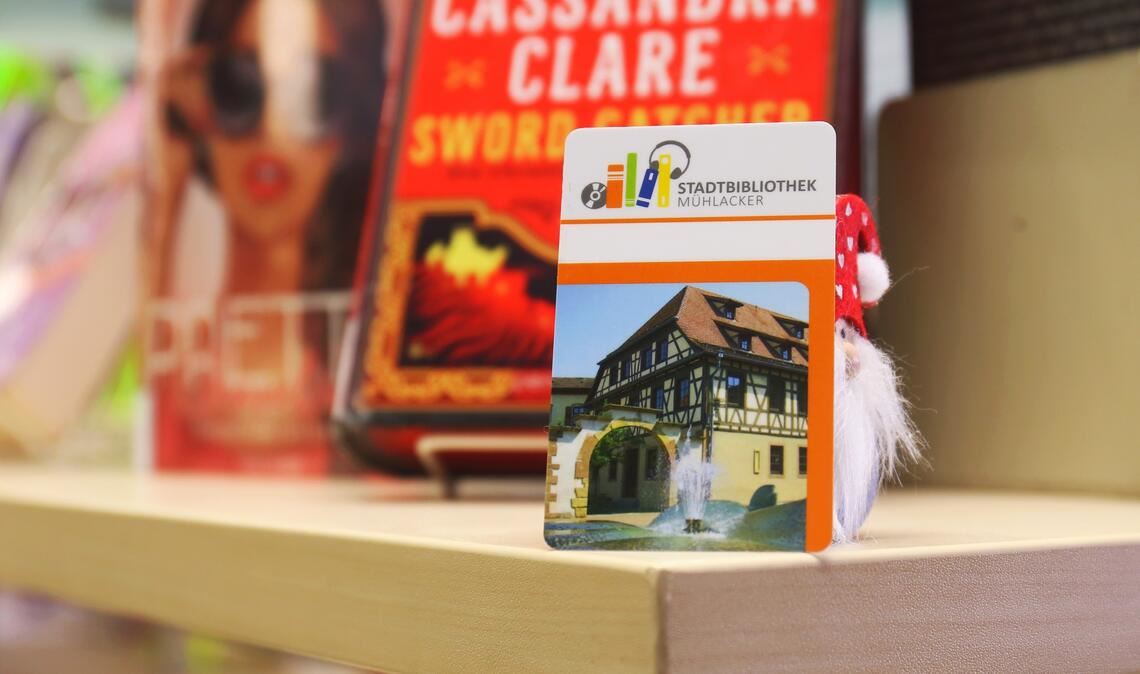 Stadtbibliothek: Jahresgebühr für Erwachsene steigt Erwachsene Nutzerinnen und Nutzer der Stadtbibliothek Mühlacker müssen fürs Ausleihen künftig mehr bezahlen. Foto: Schüller