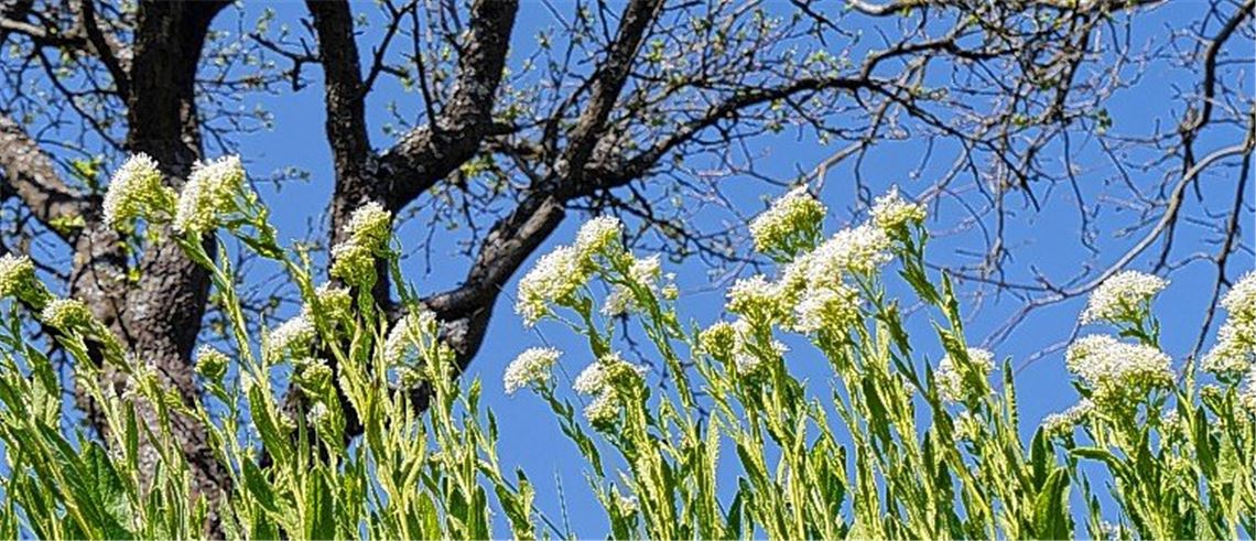 Frühlingsgefühle Frühlingsgefühle