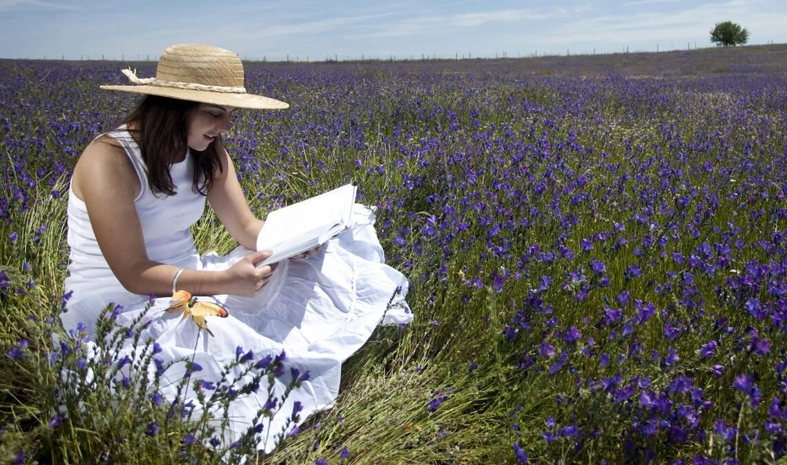 Es dauert noch ein Weile, bis alles blüht. Hier ein paar Vorschläge, wie man die Zeit lesend überbrücken kann.