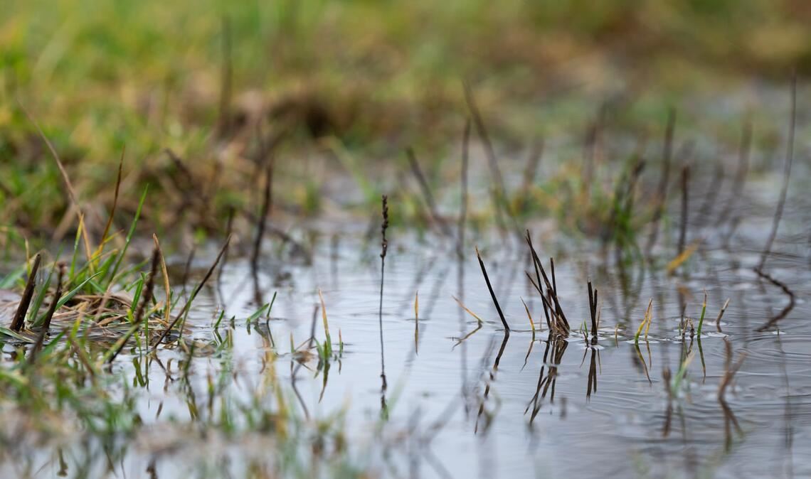 Es droht Hochwasser (Symbolbild).