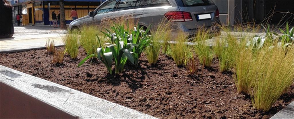 Es gibt zwei neue Sitzplattformen mit Beeten in der unteren Bahnhofstraße: Dort können sich nicht nur Besucher von außerhalb, sondern auch alle aus Mühlacker ausruhen.